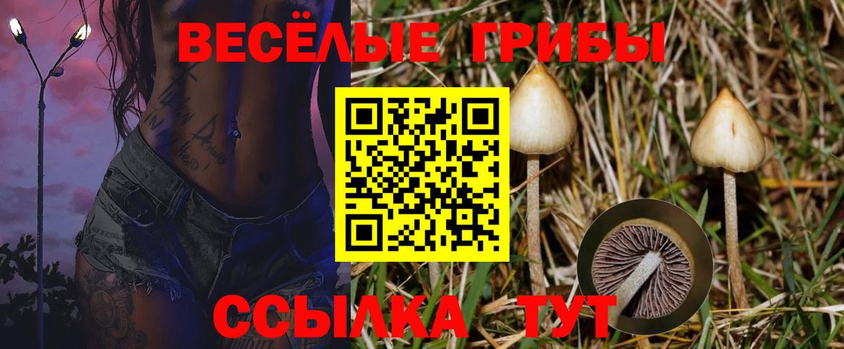 Псилоцибиновые грибы MAGIC MUSHROOMS Донецк
