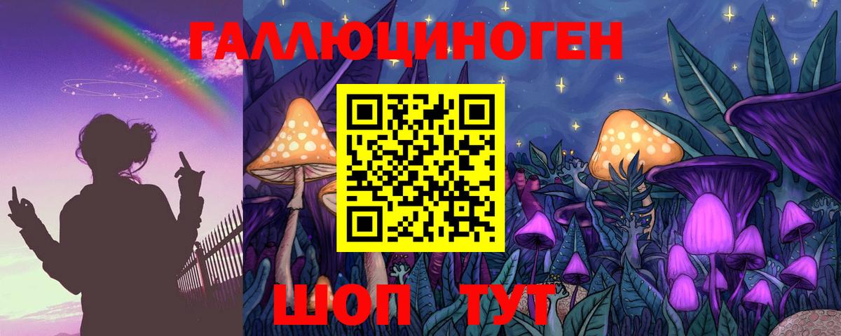 Донецк  Галлюциногенные грибы Cubensis  Вход с VPN 